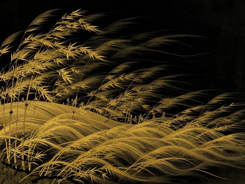 Xùn (巽) — The Gentle