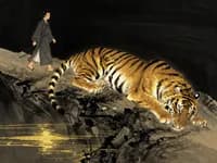 Lǚ (履) — Treading